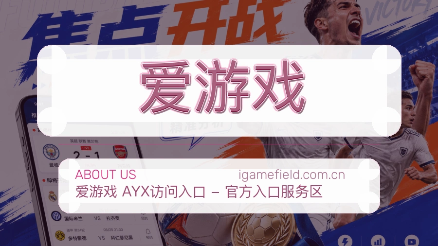 爱游戏关于我们